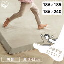 ★激熱商品★ラグ 2畳 3畳 つまずきにくいラグ おしゃれ リビング 北欧 オールシーズン 滑り止め ホットカーペット対応 厚手 ラグマット カーペット アイリ...