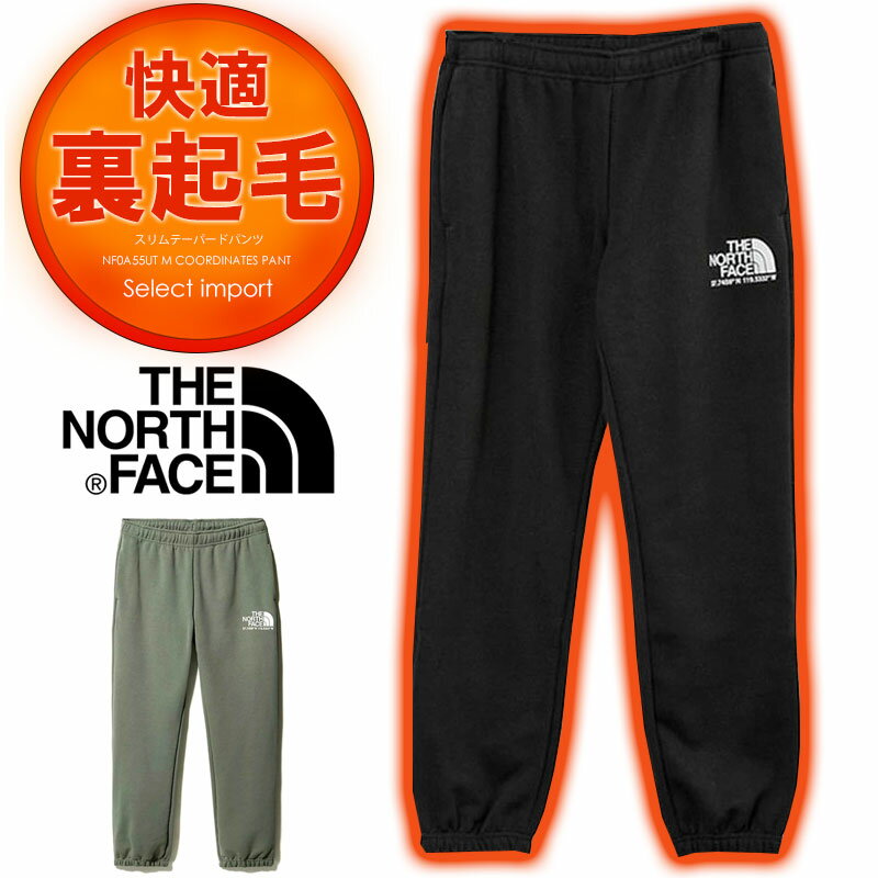 THE NORTH FACE ザノースフェイス スウェット パンツ 裏起毛 メンズ ジャージー コーディネート US アウトレット COORDINATES PANT NF0A55UT 送料無料