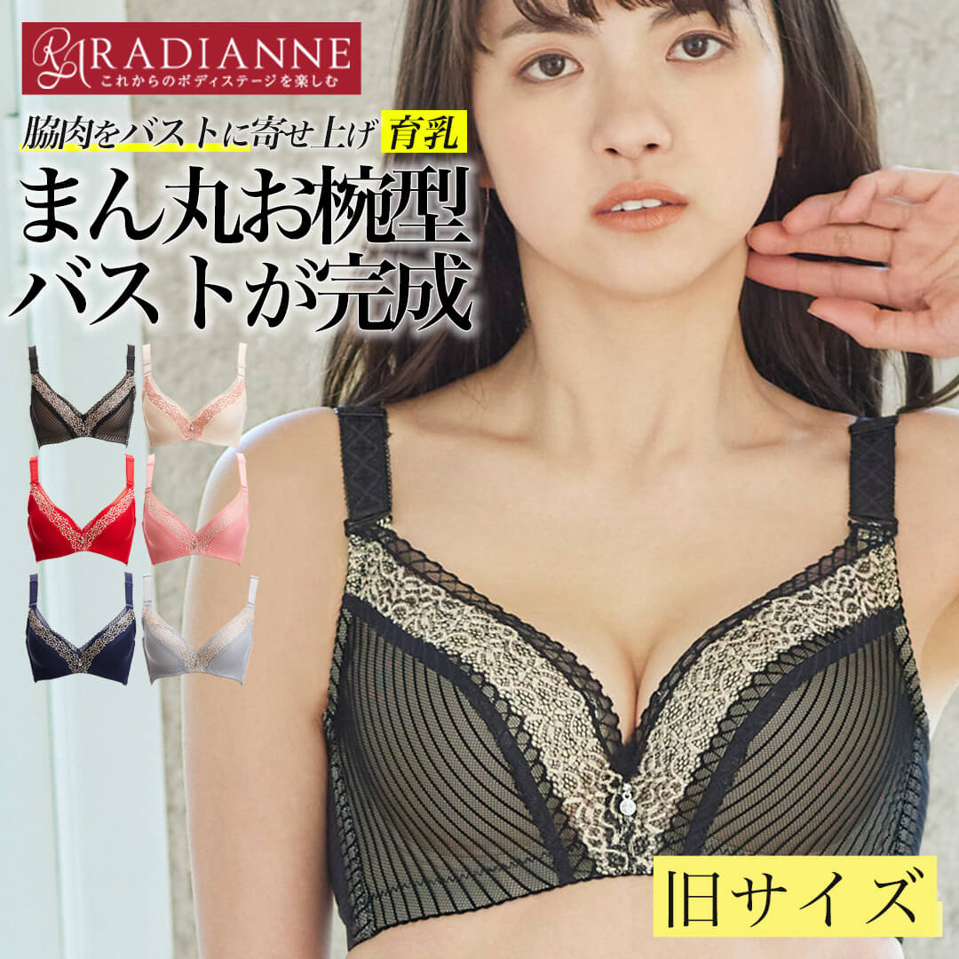 【旧サイズ】育乳ブラ 小胸 大きいサイズ 盛れる 脇肉カップインブラ ナイトブラ 育乳 ブラ 脇肉 aカップ アンダー 大きい バスト 寄せ 谷間 ブラ 脇高 設計 補正 補正下着 垂れ 昼用 背肉 背中 スッキリ 全6色 全15サイズ ラディアンヌ