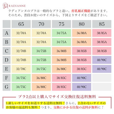 育乳ブラ 脇高ブラ 谷間ブラ リフトアップロイヤルリターン 産後ブラ 卒乳ブラ 脇肉ブラ 補正ブラ バストアップブラ 盛りブラ ブラジャー 補正下着 ナイトブラ おやすみブラ 全1色 全12サイズ ラディアンヌ