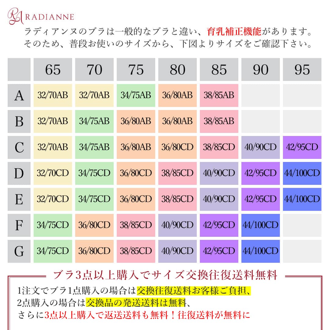 ＼半額・11(日)1:59迄／育乳ブラ 小胸 大きいサイズ 盛れる リフトアップスウィートヴァージン ナイトブラ 脇肉 背肉 ブラジャー 昼用 育乳 バストアップ アンダー 大きい 胸　バスト 寄せ 谷間 ブラ 脇高 設計 補正 垂れ 全6色 全11サイズ ラディアンヌ