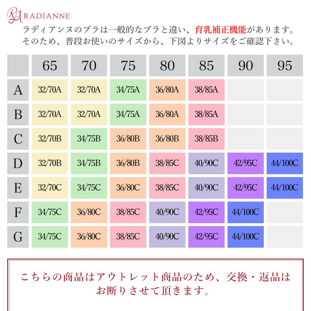 育乳ブラ ナイトブラ 小胸 大きいサイズ 脇肉カップインすっぴんブラ 盛れる ノンワイヤー 昼夜兼用 育乳 ホック ノンワイヤーブラ 脇高 設計 昼用 脇肉 aカップ アンダー バスト 寄せ 谷間 ブラ 全5色 全10サイズ ラディアンヌ