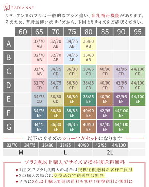脇肉カップインブラ ブラ&ショーツセット 全6色 全15サイズ ラディアンヌ