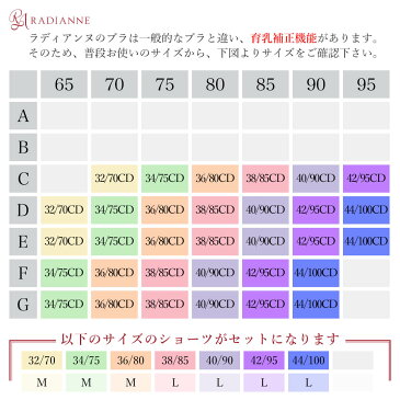 脇肉カップインブラジャスミンレース ブラ&ショーツセット 全6色 全4サイズ ラディアンヌ