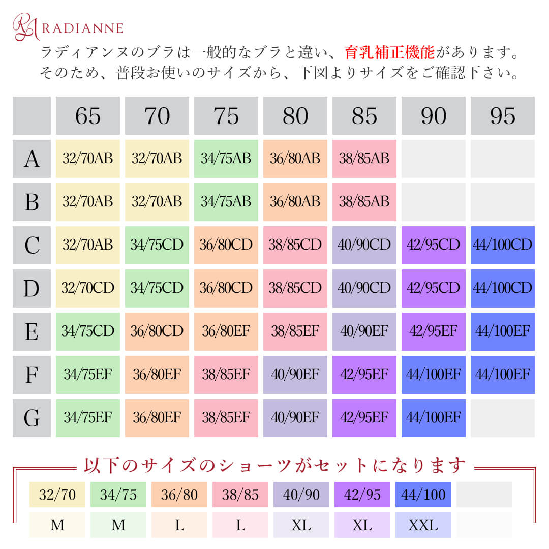 ＼半額・3(月)9:59迄／育乳ブラ 大きいサイズ 脇肉 背肉 ブラジャー リフトアップロータスフラワー ブラ&ショーツセット ブラショーツ 上下セット SET ブラ 脇高 設計 大きいサイズ 大きい胸 盛れる 谷間 垂れ スッキリ 全12色 全18サイズ ラディアンヌ 2