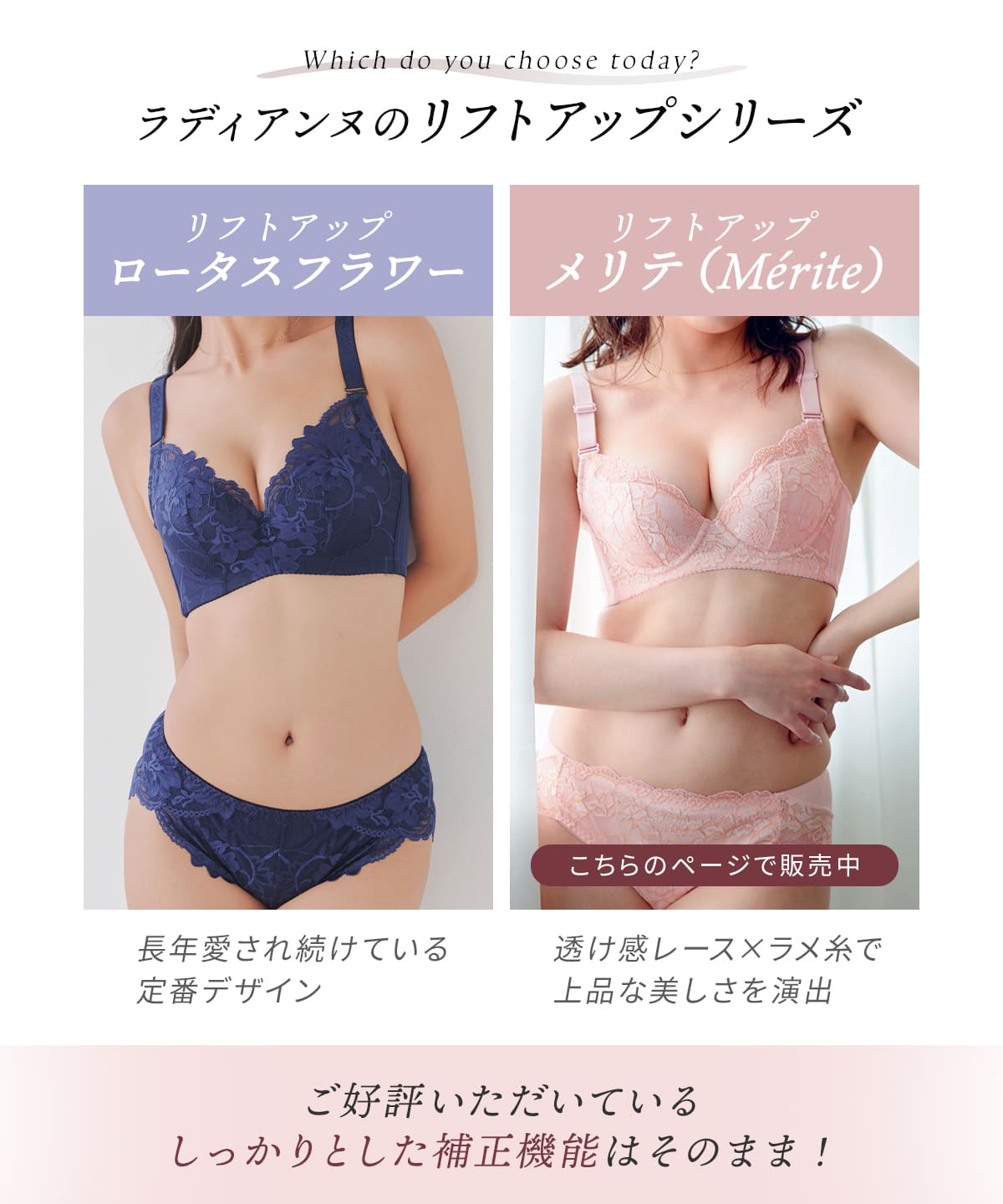 �ڽ������ꥯ���ݥ�������ۡ�Ⱦ�ۡۥ֥饸�㡼 �������� �ʥ��ȥ֥� ��եȥ��åץ��ơ�Merite�� �֥饸�㡼 ���硼�ĥ��å� �֥饷�硼�� �岼���å� �礭�������� ���� ��ǥ����� �֥� ����֥� ���� �ƹ�֥� ë�֥֥� ��ǥ������