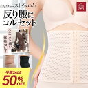 \半額・7(水)9:59迄/コルセット くびれ ダイエット くびれメイクコルセット スチールスプリングボーン ウエストニッパー 補正下着 肋骨 ぽっこりお腹 ウ...