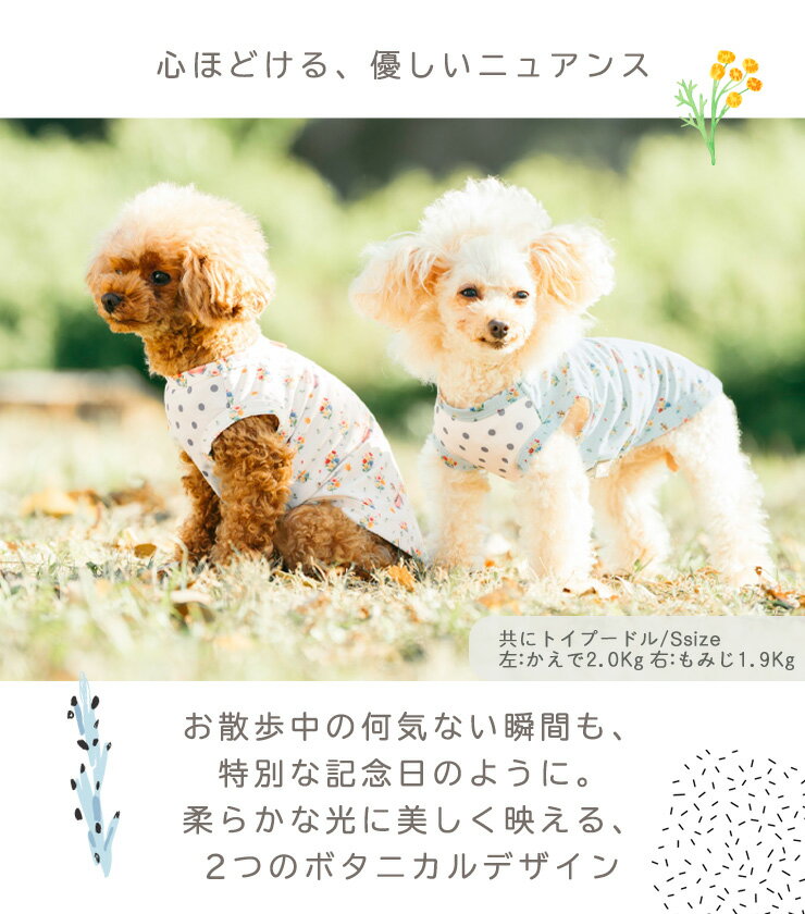 【まとめ買い最大15％OFF】【新作割引】犬 小型犬 可愛い タンクトップ 犬服 春 夏...