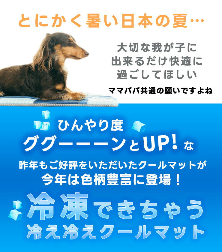 サンプル画像3