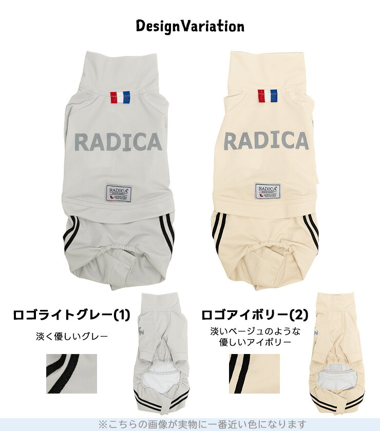 サンプル画像3