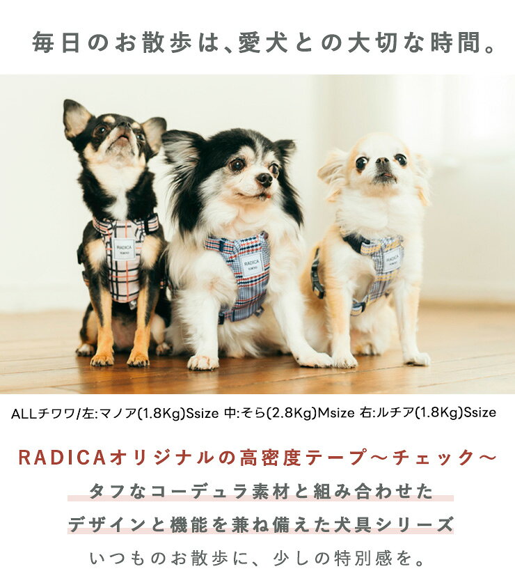 サンプル画像3