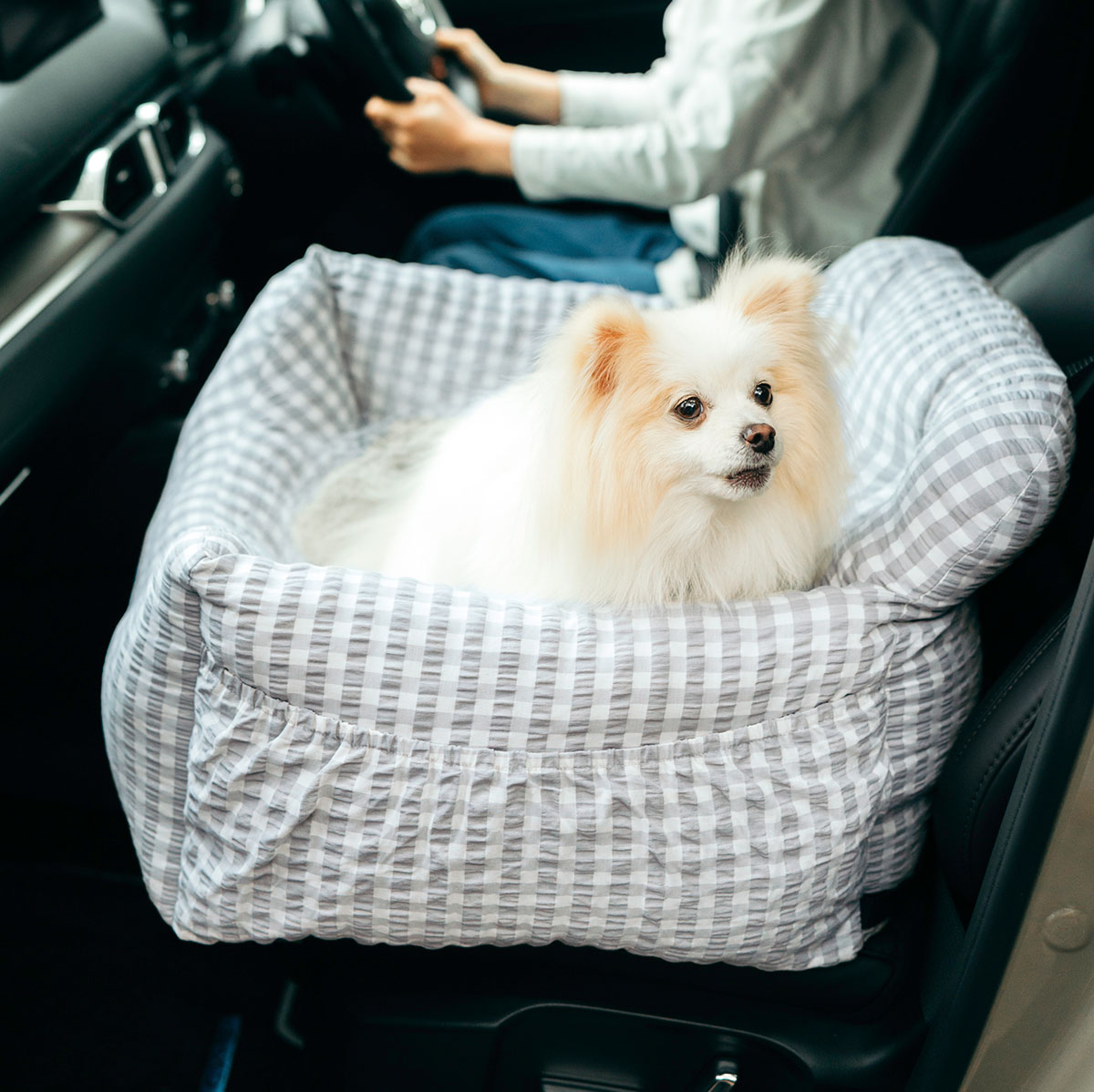 楽天市場】ドライブ ベッド（適正犬種ミニチュア シュナウザー）の通販