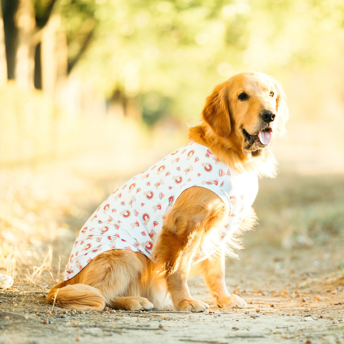 楽天市場】大型犬 服 夏の通販