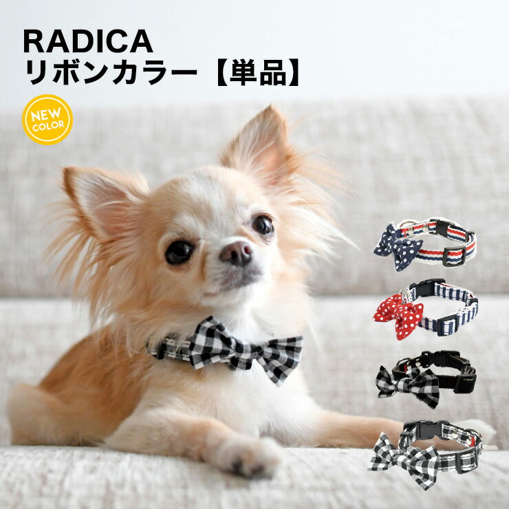 犬 小型犬 犬用 首輪 ラディカ radica 迷子防止 脱走防止 カラー カジュアル ラディ ファッション テープ リボン 返品交換不可 メール便可RADICA+Y カラー