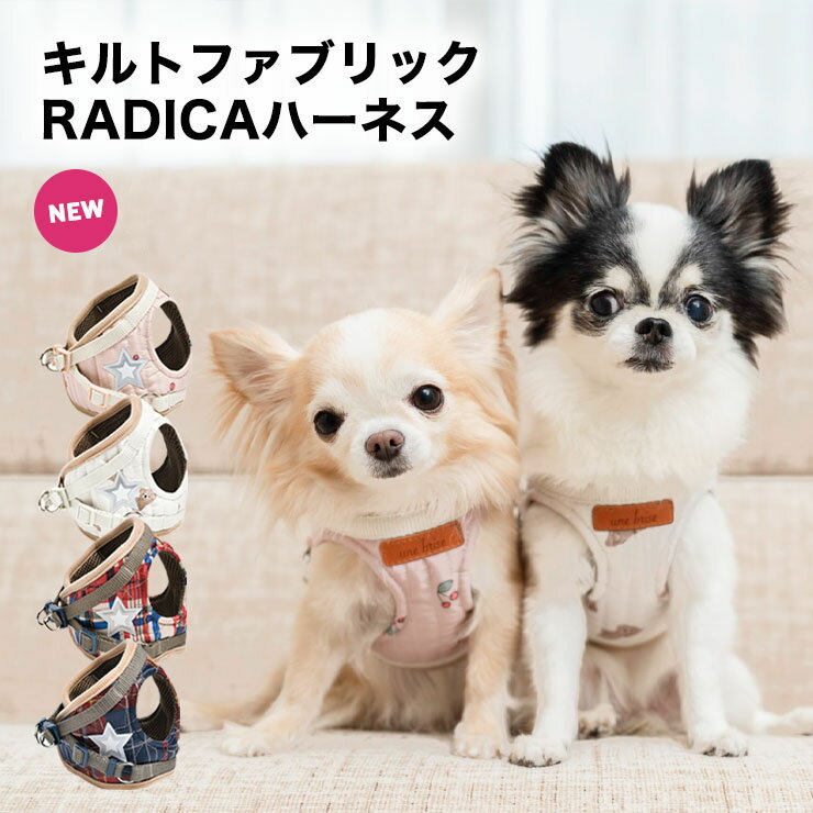 犬 小型犬 犬用 犬具 ラディカ radica 