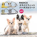 【犬具2点20％】SALE犬 小型犬 犬用 ハーネス リード 犬具 胴輪 リードセット 散歩 ラディカ radica 迷子防止 脱走防止 簡単装着 おしゃれ ブランド 返品交換不可 メール便可 スライドフィットハーネス&リード