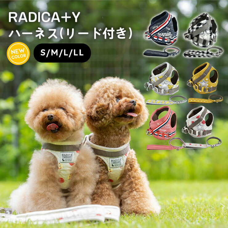 犬 小型犬 犬用 ハーネス リード 犬具 胴輪 リードセット ラディカ radica 迷子防止 脱走 ...