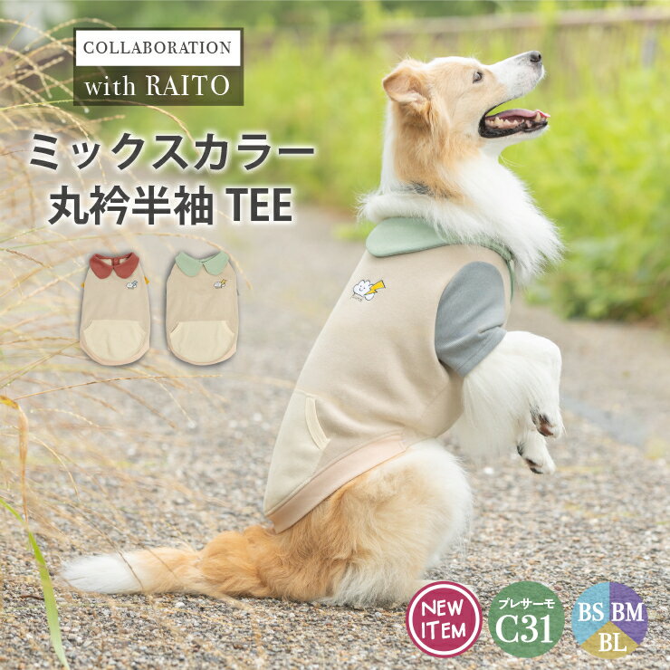 【予約10月23日順次発送】犬 大型犬 犬用 Tシャツ 犬服 ウェア ドッグウエア 犬の服 ライト コラボ プレサーモC-31 サイズ交換OK/返品不可 メール便不可ライト×RADICA ミックスカラー 丸衿 半袖 TEE BS BM BLのサムネイル