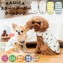 【均一SALE】犬 小型犬 タンクトップ 犬服 ウェア ドッグウエア 犬の服 スター ボーダー 接触冷感 プレサーモC25 防蚊加工 虫よけ 水着素材 春服 夏服 春夏服 サイズ交換OK/返品不可 メール便可 スター × ボーダー クールタンク