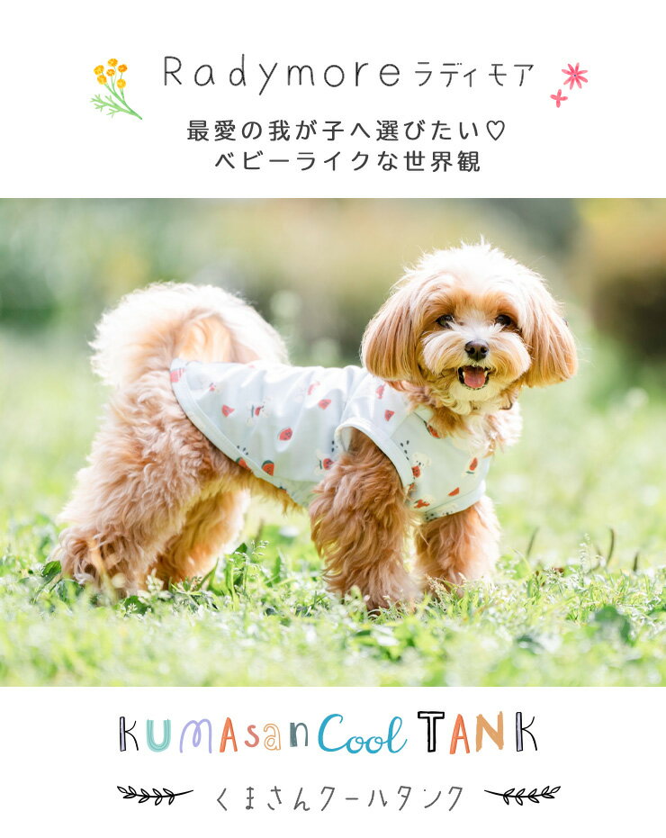 犬 小型犬 可愛い タンクトップ 犬服 春 夏 ドッグウエア 犬の服 プレサーモC25 接触冷感 防蚊 虫よけ 水着素材 交換OK/返品不可 メール便可くまさん クール タンク 2