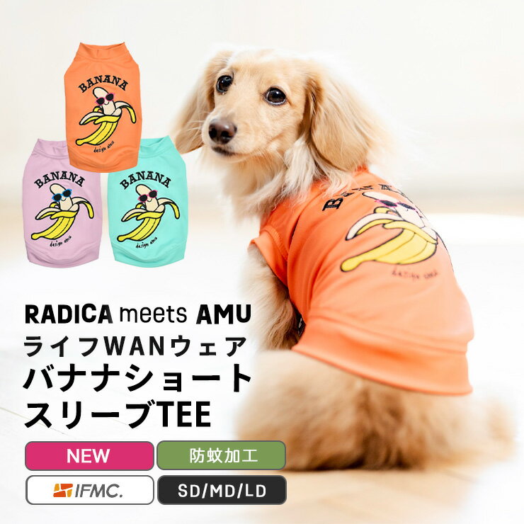 ペティオ (Petio) E-Stretch スキンTシャツ ダークブルーボーダー M サイズ