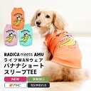 ＼クーポンで最大500円OFF／ BF フードタンク S M L XL XXL【タンクトップ ノースリーブ 刺繍 綿 コットン 100% 犬 フード パーカー 小型犬 人気 小型犬 かわいい おしゃれ】【犬服 犬 服 犬の服 春 夏 ドッグウェア ベストフレンズ】