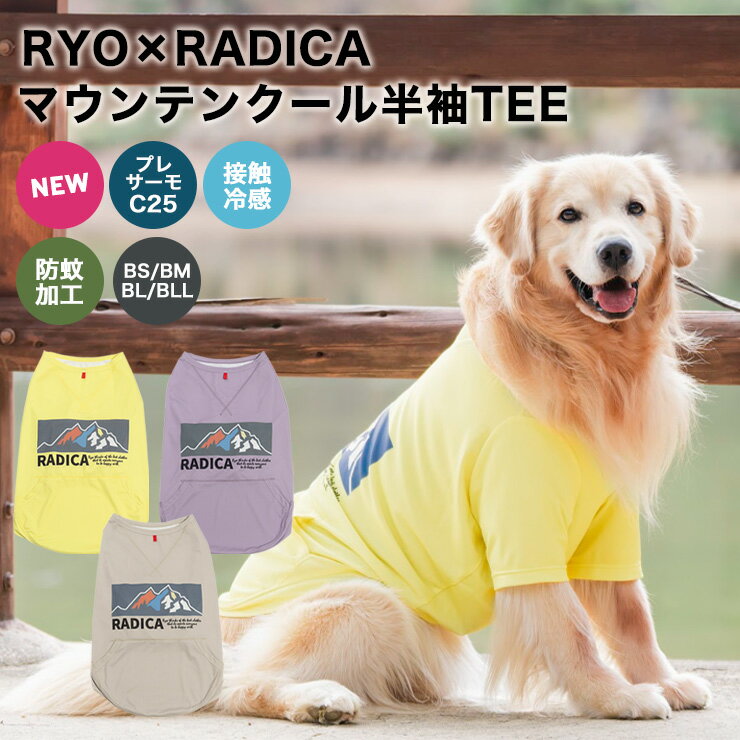 ネックワッペンベア天竺Tシャツ(ダックス チワワ トイプードル 小型犬用)【ネコポス値2】犬服 ドッグウェア ペット服