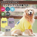 【 犬 服 ボーダー Tシャツ 】 鎌倉ボーダー's 鎌倉DOG トップス 人気 ( 犬の服 小型犬 トイプードル ダックス チワワ ドッグウェア ペット おしゃれ かわいい )