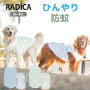 【予約5月20日順次発送】犬 大型犬 犬用 タンクトップ ウェア ドッグウエア 犬の服 プレサーモC25 防蚊 虫よけ 水着素材 接触冷感 返品交換不可 メール便可ボーダー × スター クール タンク BS BM BL BLL