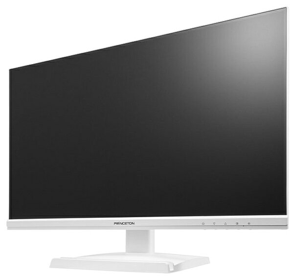 プリンストン 100Hz ADSパネル採用 23.8型ワイドカラー液晶ディスプレイ/PTF-B241W-WH
