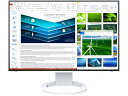 EIZO EV2485-WT