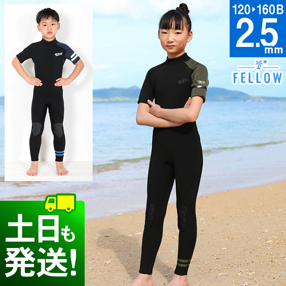 ウェットスーツ シーガル 2.5mm キッズ 半袖 子供 ジュニア FELLOW 子供用 バックジップ ストレッチ ジャージ ウエット サーフィン SUP シュノーケル ウエットスーツ JPSA 日本規格 大きいサイズ 防水システム