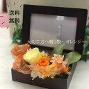 【送料無料】大切な方への贈り物(オレンジ)(4)