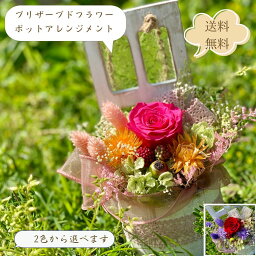 プリザーブドフラワー 花 母の日 記念日 誕生日 プレゼント ピンク レッド アンティーク レトロ 花柄 壁掛け バラ 退職 御祝 ギフト 送別 出産 結婚式 結婚記念日 選べる2種 送料無料 女性 母おしゃれ