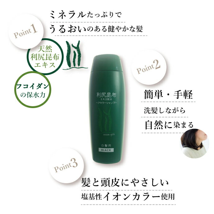 利尻昆布 白髪染め ヘアカラー 利尻シャンプー ブラック 250mL