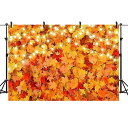 バック紙 背景紙 バックペーパー ドア 紅葉 かぼちゃ 秋 イベント パーティー スタジオ 写真撮影 壁紙 装飾 デコレーション ベビー 送料無料
