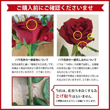 赤バラのブーケ60本 国産 ラウンドブーケ 赤薔薇60本 バラ花束 生花 ギフト プレゼント 女性 還暦祝い プロポーズ 誕生日 記念日 御祝 母の日 結婚記念日 発表会 送別会 送料無料 産直 あす楽 ROR60