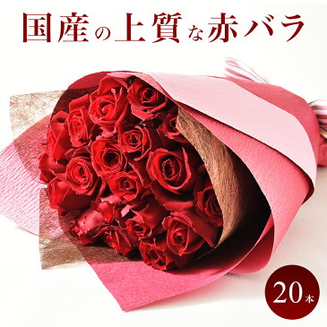 【ラッピング選べる】 国産 赤バラのブーケ 20本 産地直送 薔薇 バラ ローズ 花束 生花 誕生日 結婚 記念日 プロポーズ ブライダル 母の日 父の日 プレゼント ギフト 御祝 女性 入学 卒業 送別会 退職 記念品 送料無料 あす楽 手提袋付き JRR20