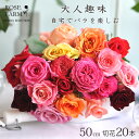 【ROSE FARM】【花色は農園おまかせ】 国産バラ おまかせMIXカラーロングブーケ 20本 バラ20本 薔薇20本 ロング丈 愛知県田原市産 ばら 薔薇 花 花束 バラ花束 薔薇花束 誕生日 記念日 母の日 敬老の日 クリスマス ギフト 送料無料 あす楽 ご自宅用 産地直送だから高鮮度