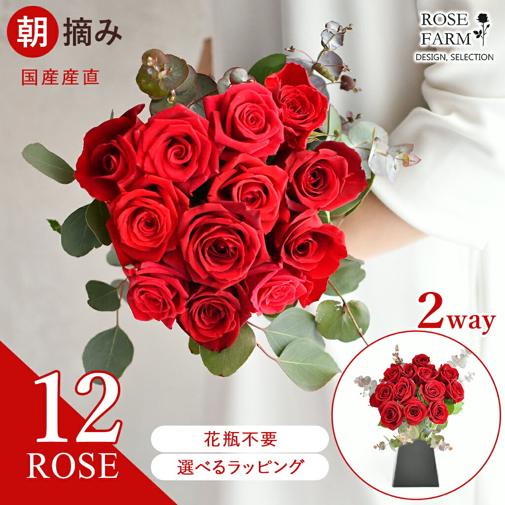 【ROSE FARM】 国産 赤バラ12本のブーケ 紙製花瓶付き バラ花束 農園直送 すぐに飾れる スタンディングブーケ 花瓶不要 ばら バラ 薔薇 ローズ 朝摘み切花 花束 花 誕生日 記念日 結婚式 プロポーズ ブライダル 母の日 クリスマス ギフト 送料無料 ローズファーム hira-rdu12