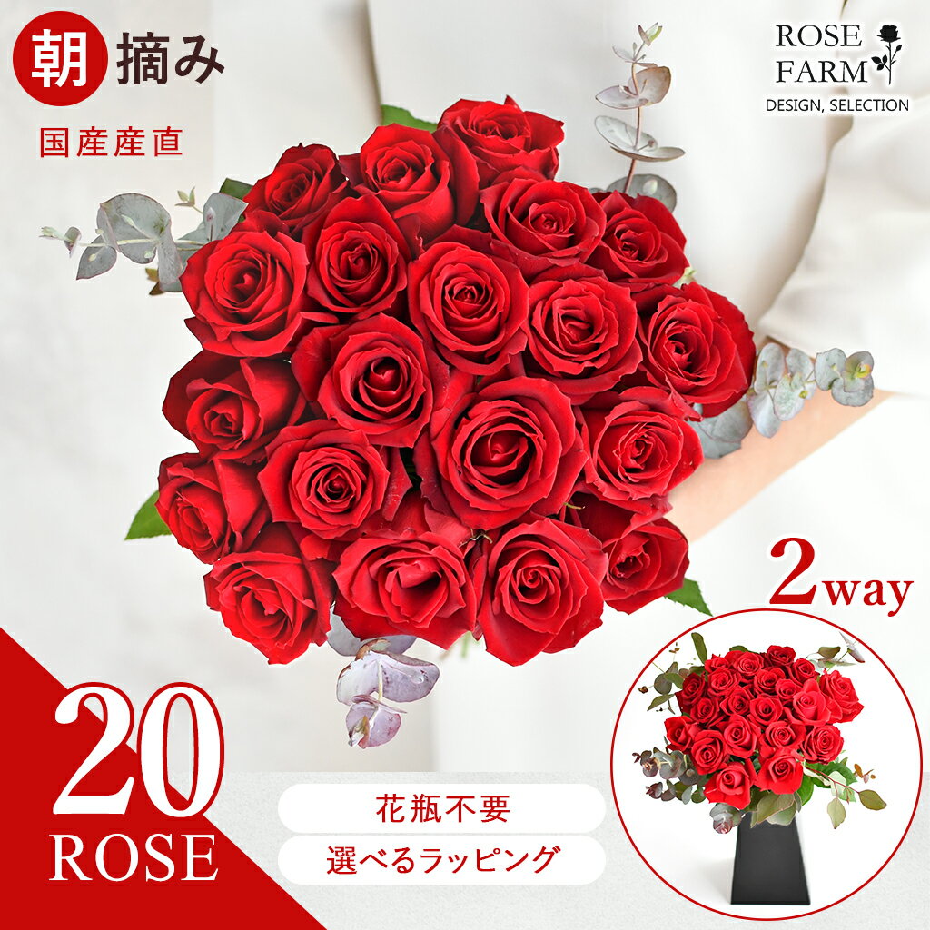 【ROSE FARM】 国産 赤バラ20本の花束 紙製花瓶付き バラ花束 農園から直送 すぐに飾れる スタンディングブーケ 花瓶不要 ばら バラ 薔薇 朝摘み 切花 花束 花 誕生日 記念日 結婚式 プロポーズ ブライダル 母の日 クリスマス ギフト 送料無料 ローズファーム utsuwa flower