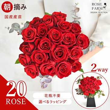 【ROSE FARM】 国産 赤バラ20本のブーケ 紙製花瓶付き バラ花束 農園直送 すぐに飾れる スタンディングブーケ 花瓶不要 ばら バラ 薔薇 ローズ 朝摘み切花 花束 花 誕生日 記念日 結婚式 プロポーズ ブライダル 母の日 クリスマス ギフト 送料無料 ローズファーム hira-rdu20