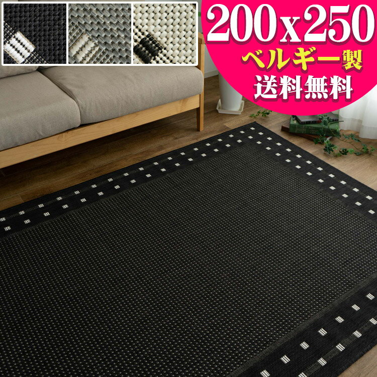 【12H限定！タイムSALEクーポン対象】 北欧 風 ラグ 3畳 じゅうたん おしゃれ な カーペット 200×250cm 長方形 通販 送料無料 サマーラグ 絨毯 シンプル ラグマット 薄手 リビング ダイニング 夏用ラグ