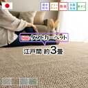 ラグ 日本製 176×261 3畳 カーペット 撥水 防汚 制菌 防臭 防ダニ 防炎 フリーカット ラグマット おしゃれ シンプル カジュアル 床暖房 ダイニン...
