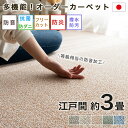 カーペット 3畳 江戸間 サイズ オーダー 可 176×261 防音 撥水 防汚 防炎 抗菌 防ダニ 日本製 カーペット ラグマット フリーカット 敷き詰め ブ...