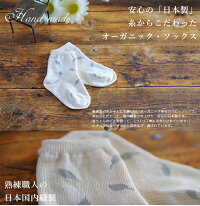 セット内容