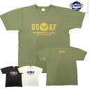(レターパック1枚まで対応) 送料無料 通販 バズリクソンズ BUZZ RICKSONS BR79397 U.S.A.F Tシャツ ミリタリー コットン 半袖 プリント ヴィンテージ アメカジ 日本製 東洋