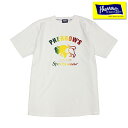 (レターパック1枚まで対応) 送料無料 通販 フェローズより毎年定番のバッファローTシャツにスペシャルなグラデーションプリントが登場! 24S-PT2 アメカジ 定番 メンズ