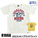 (追跡可能メール便 1枚まで) STUDIO D'ARTISAN ステュディオダルチザン Tシャツ 8166A コットン プリント 半袖 TEE USAコットン カットソー 日本製 アメカジ メンズ