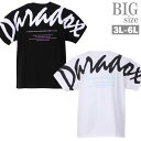 プリントTシャツ 大きいサイズ メンズ ビッグロゴ クロスロゴ 半袖 デザインtシャツ おしゃれ C050227-02